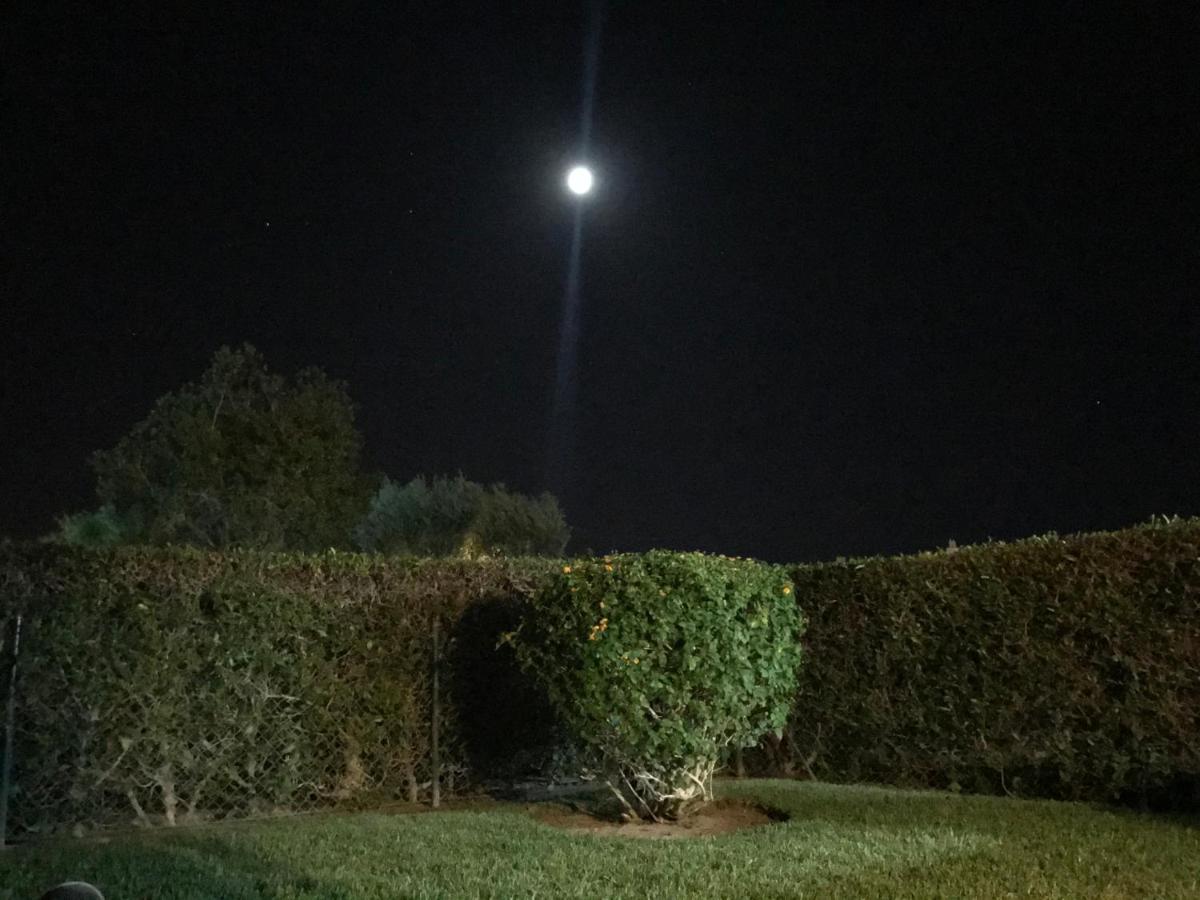 Solar Monteverde Vilamoura Buitenkant foto